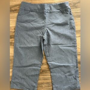 Christopher & Banks Capri Pants Blue Stretch